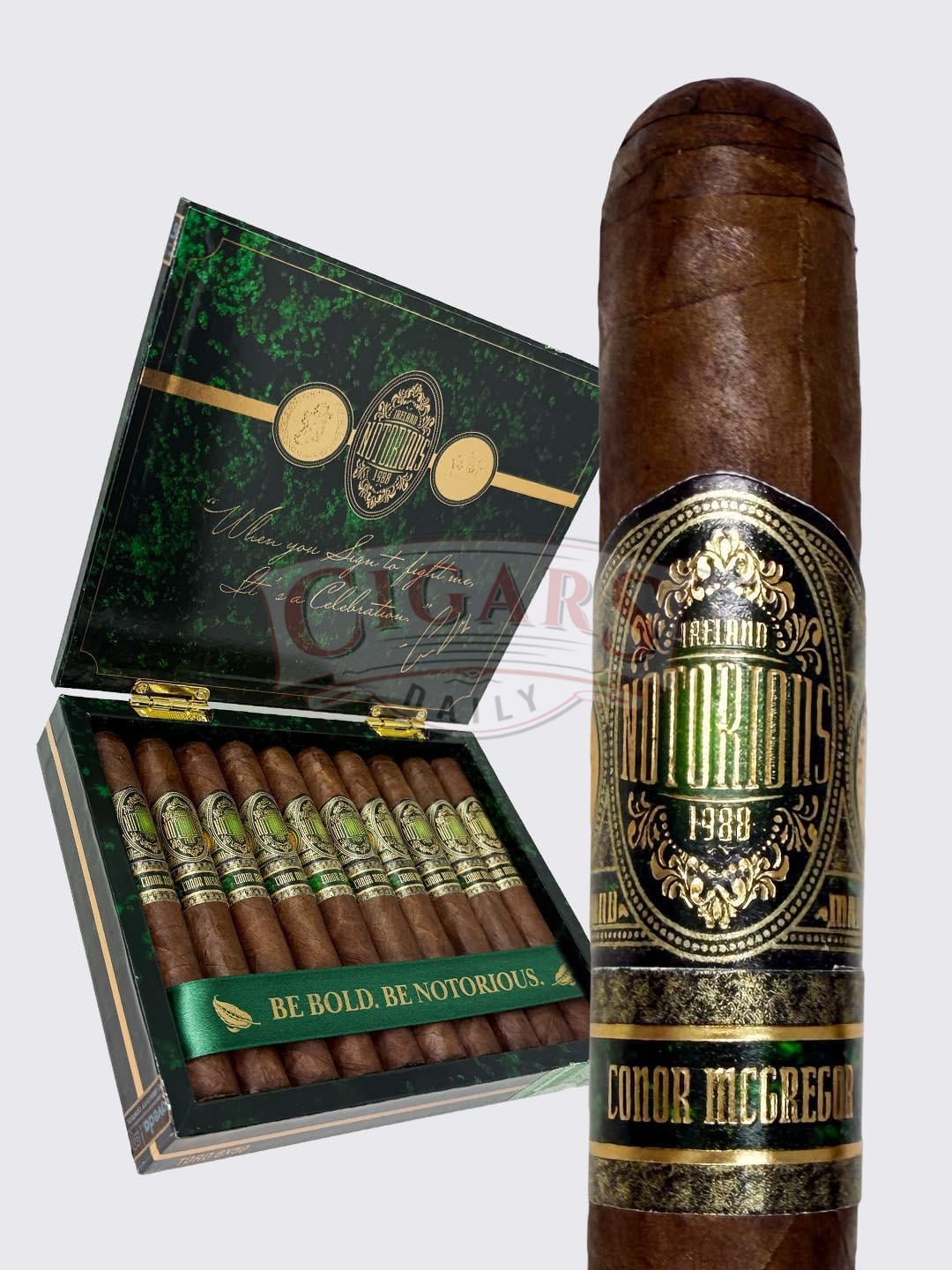 Conor McGregor Notorious Double Robusto (5.5×54)