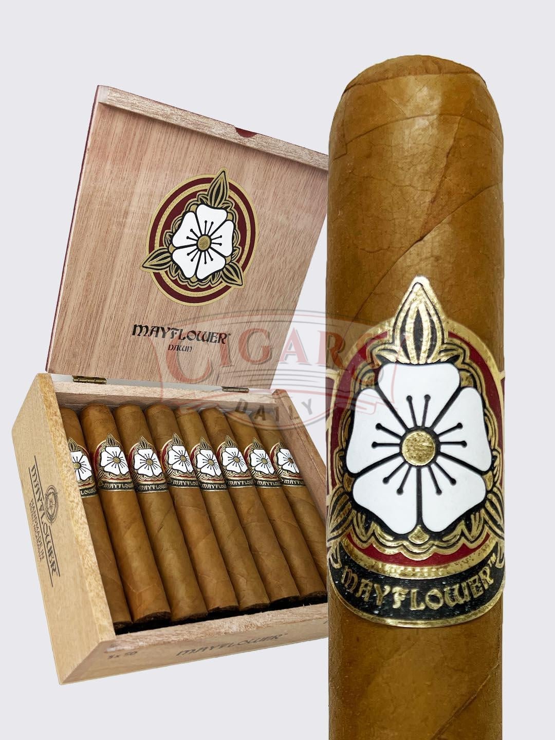 Mayflower Dawn Robusto (5×50)