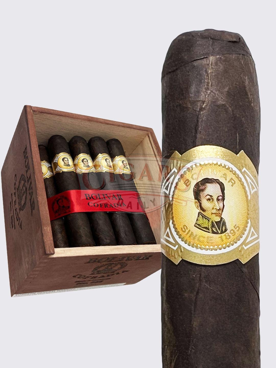 Bolivar Cofradia Oscuro Robusto (5×54)