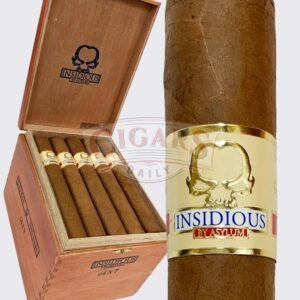 Asylum Insidious Connecticut Gordo (7×64)