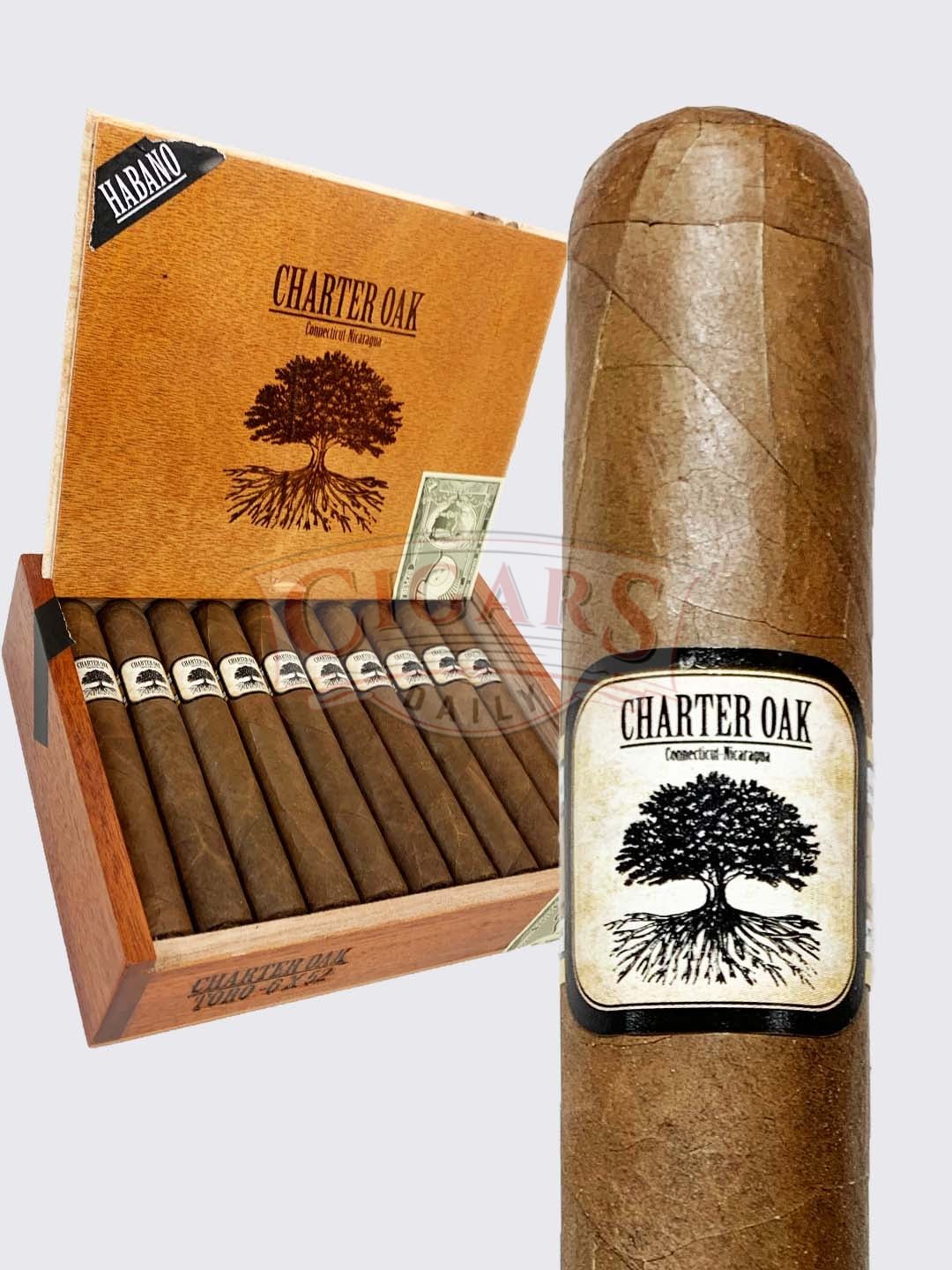 Charter Oak Habano Rothschild (4.25×50)