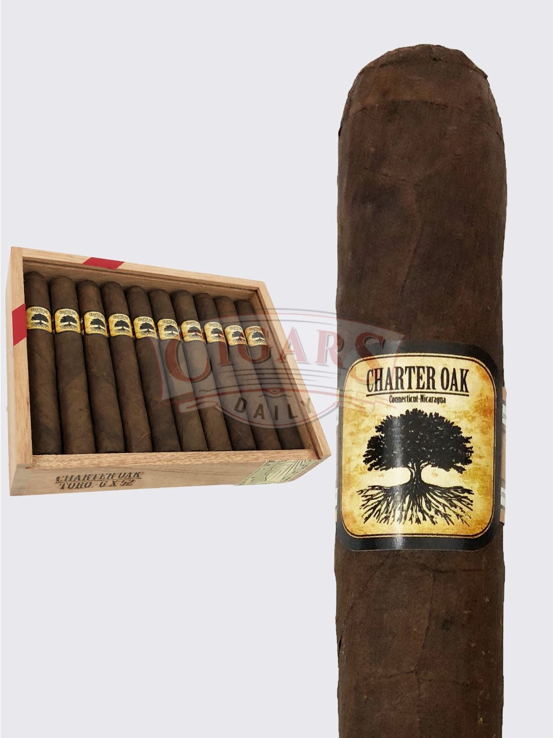 Charter Oak Broadleaf Toro (6×52)