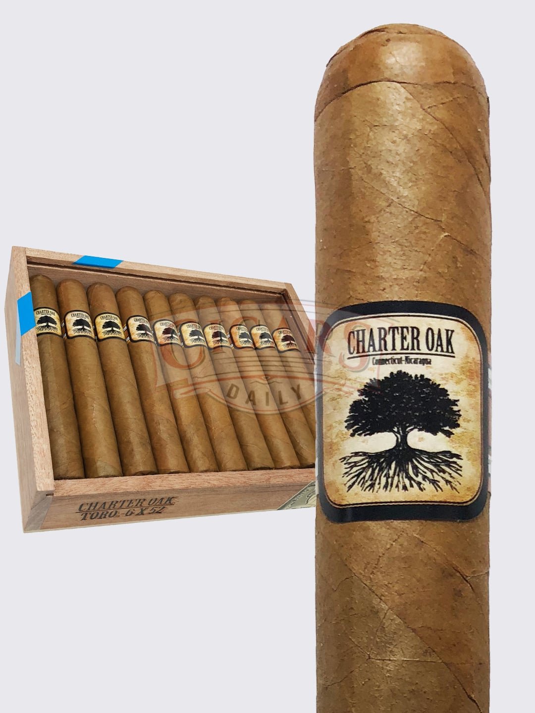Charter Oak Connecticut Shade Rothschild (4.5 x 50)