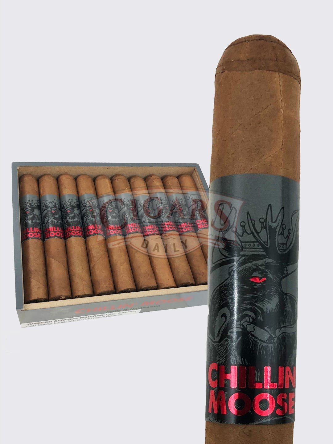 Foundry Chillin’ Moose Robusto (5×50)