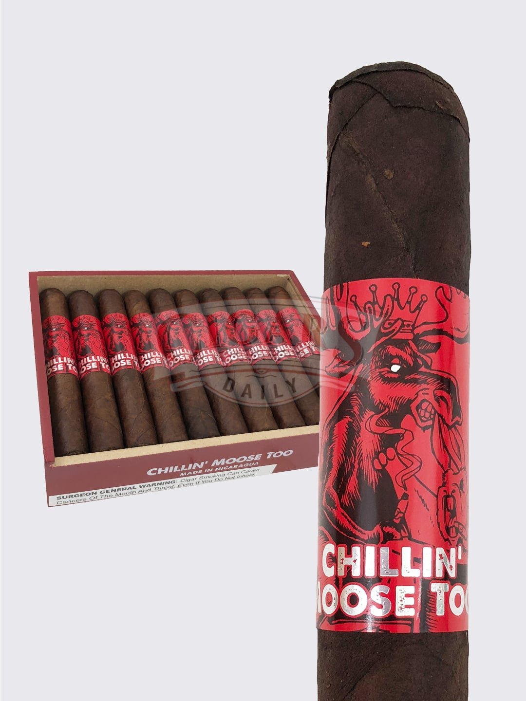 Foundry Chillin’ Moose Too Robusto (5.5×50)