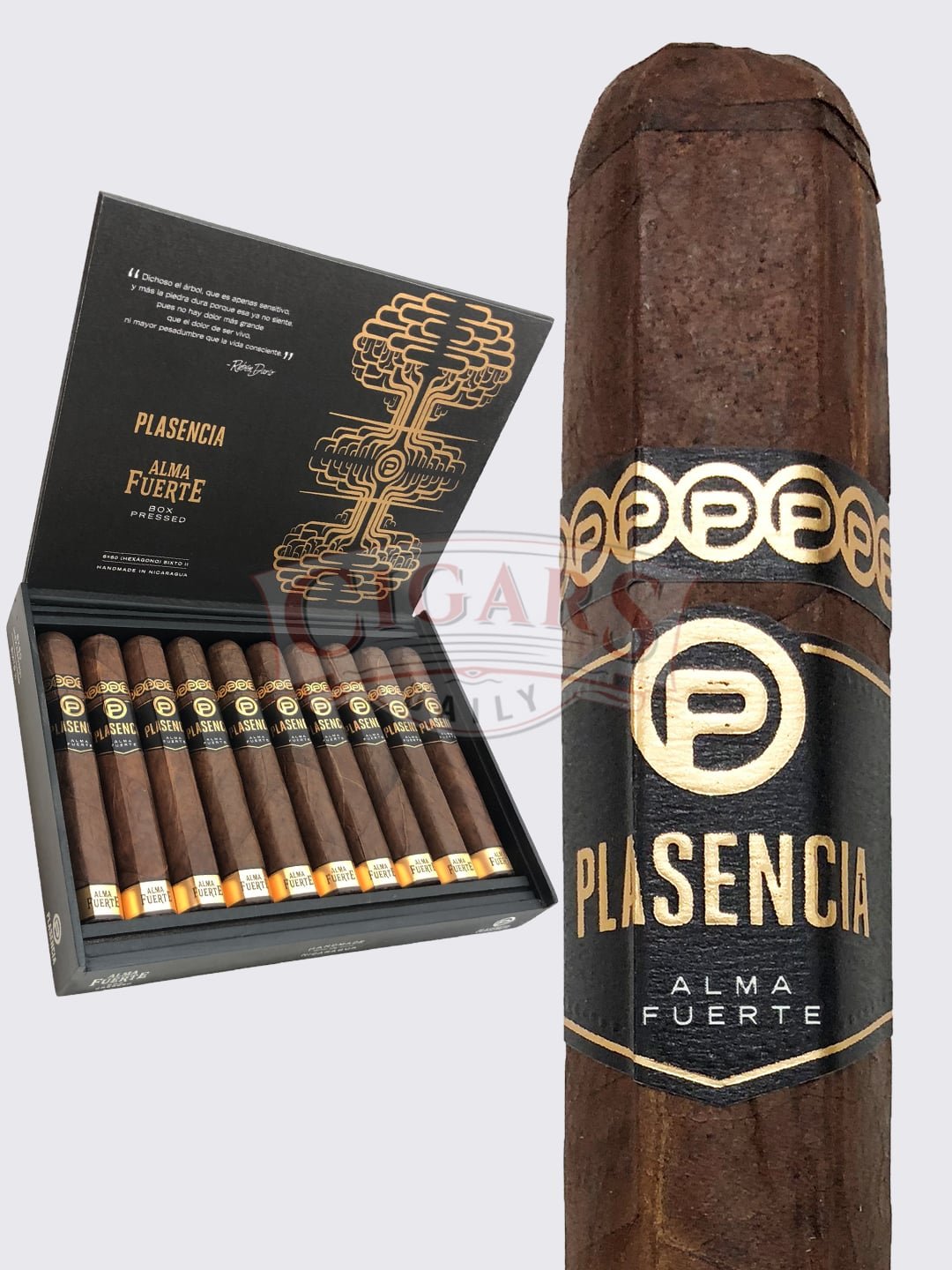 Plasencia Alma Fuerte Sixto II (6×60)