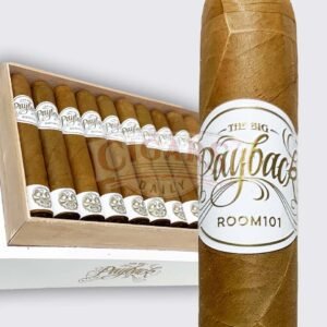 Room101 Big Payback Connecticut Robusto (5.25×50)