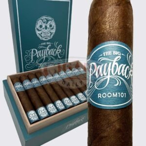 Room101 The Big Payback Nicaragua Robusto (5×50)