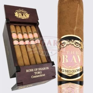 Southern Draw Rose of Sharon Robusto (5.5×54)